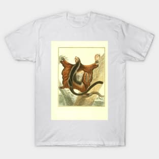 Flying Squirrel T-Shirt